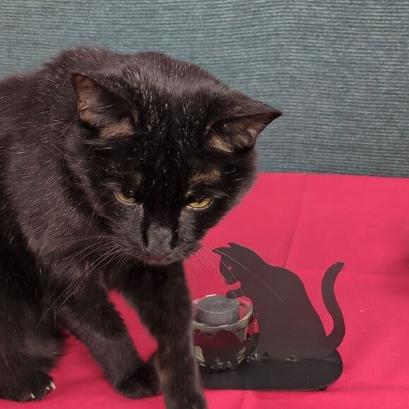 For Kitty Rescue! Vintage Metal Mama Kitty & Kittens Votive Candle Holder - Picture 15 of 16